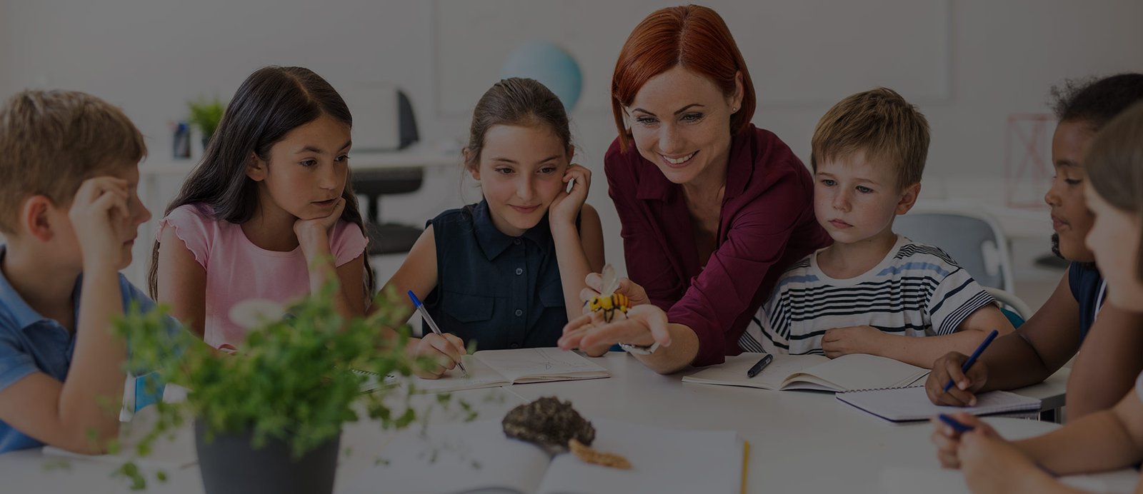 Παρέμβαση - Ομαδικά Προγράμματα